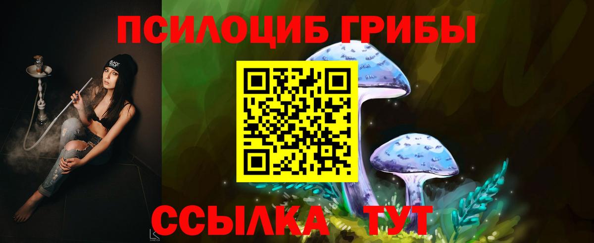 Псилоцибиновые грибы Psilocybe  Вход с VPN  Рязань 